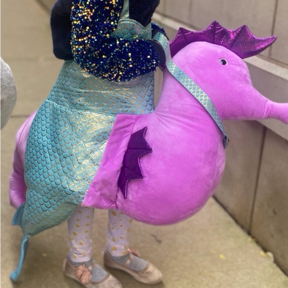 Mermaid Riding a Seahorse Costume for Kids